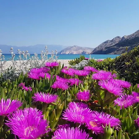 Mihovil Apartment Baska (Krk)