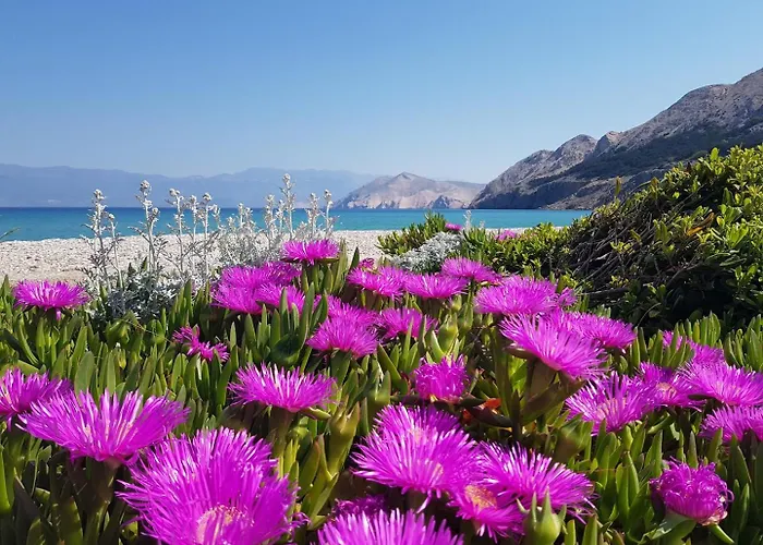 Mihovil Apartament Baška