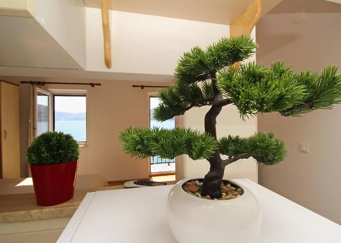 Apartament Mihovil *